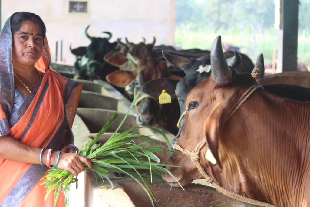 Gau Palan Yojana 2026