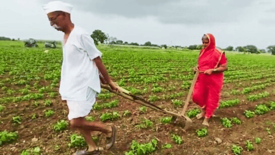 Dhan Dhanya Krishi Yojana 2026