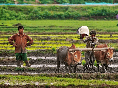 Dhan Dhanya Krishi Yojana 2026