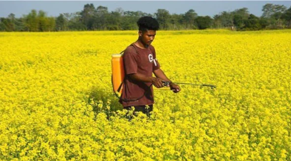 Atmanirbhar Oilseeds Abhiyan 2026